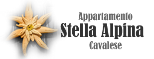 Appartamento Stella Alpina